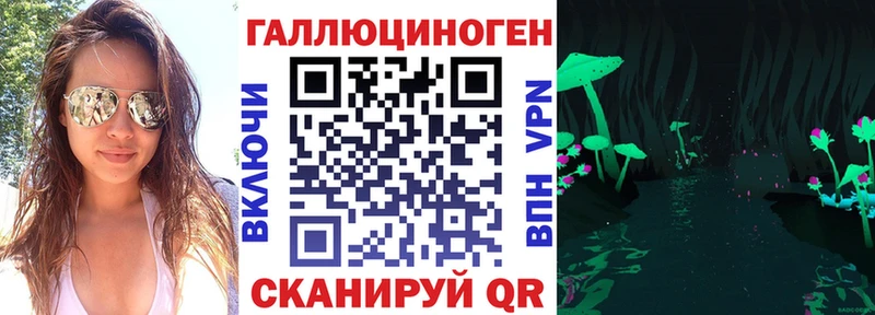 закладка  Алейск  Псилоцибиновые грибы мицелий 
